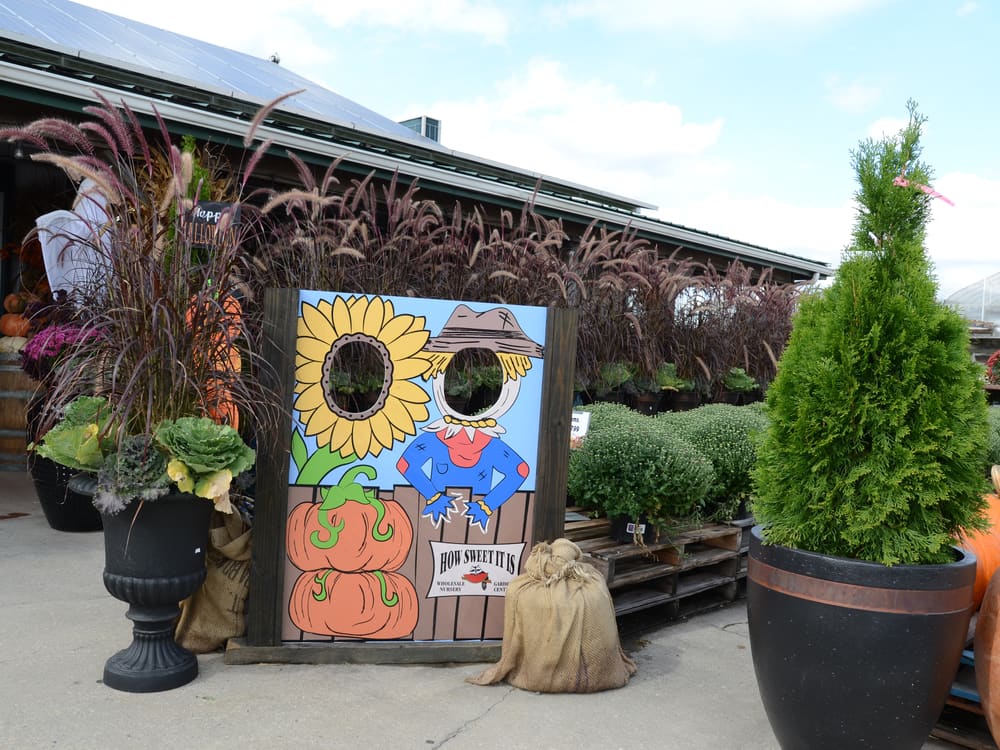Fall entrance display with sunflowers and mums