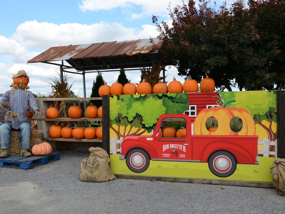 Autumn pumpkin display at How Sweet It Is