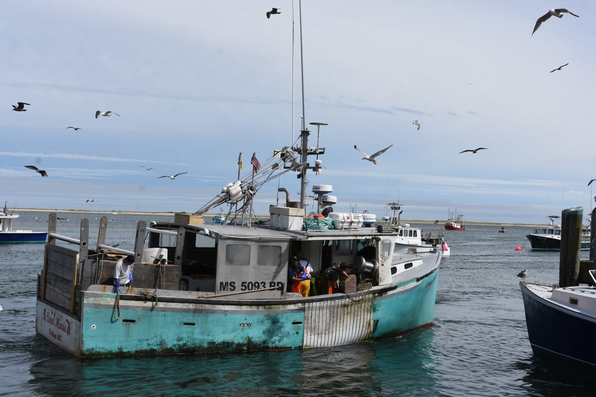 Working fishing boat coming into harbor