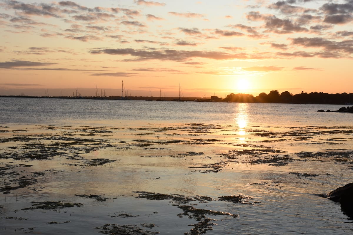 Golden sunset over a marina